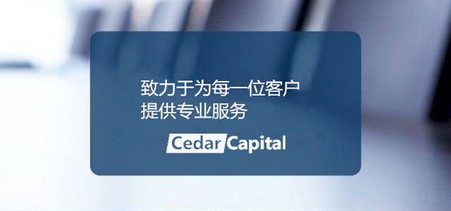 上海杉树资产管理有限公司 上海杉树资产管理有限公司